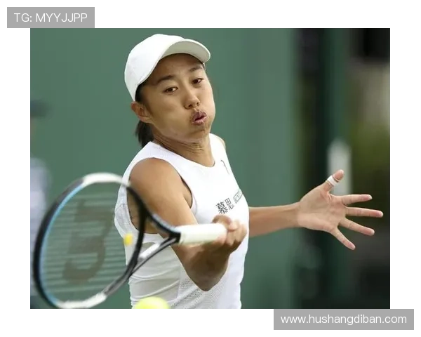 [澳网]张帅组合晋级混双16强 袁悦组合止步女双第二轮.